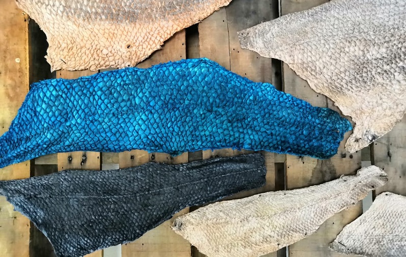 piel de pescado