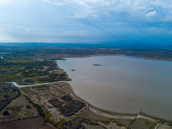 Huizache Caimanero