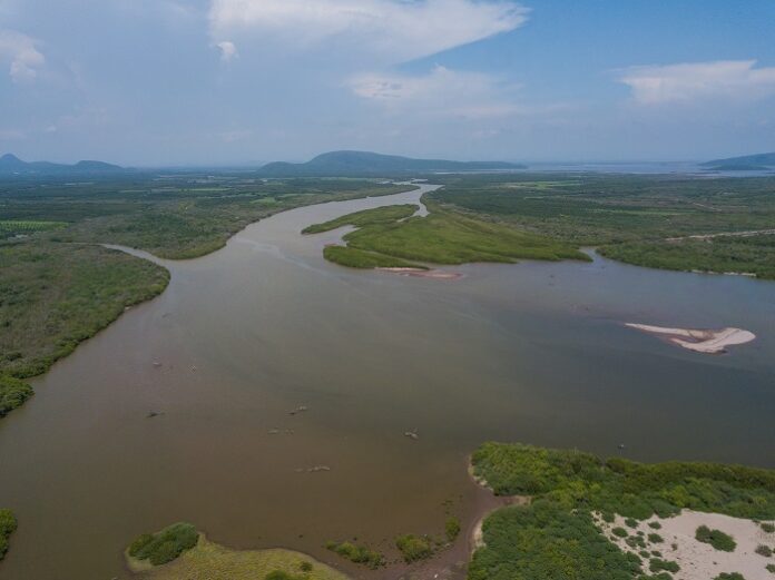 Cuenta regresiva en Huizache Caimanero: 15 años para salvar la laguna ...
