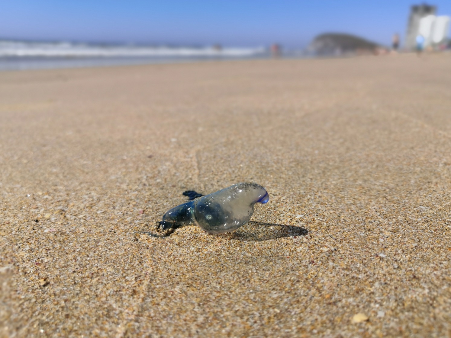 Cuidado com os “queimadores” se for à praia